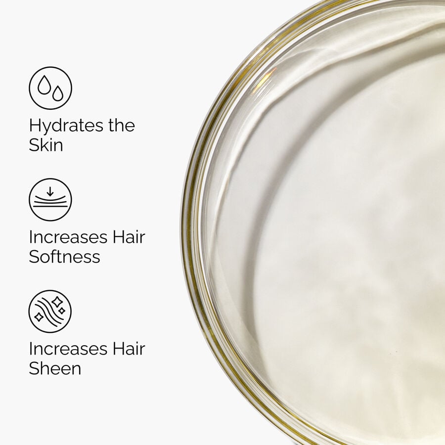 100-organic-cold-pressed-moroccan-argan-oil-t4 FY25-D41247-ORD-Web-PDP-100-Argan-Oil-1x1-EN-3.jpg