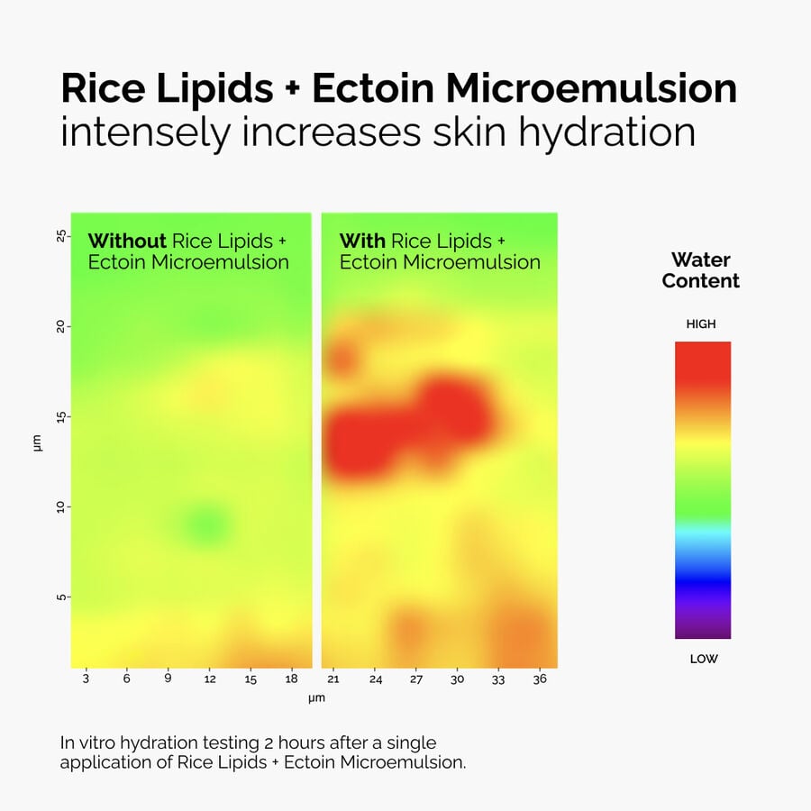 rice-lipids-ectoin-microemulsion-m8 ord-rice-lipids-ectoin-microemulsion-thermal-before-after.jpg